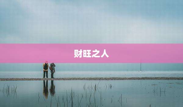 财旺之人