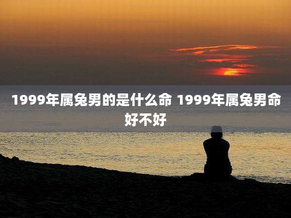 1999年属兔男的是什么命 1999年属兔男命好不好