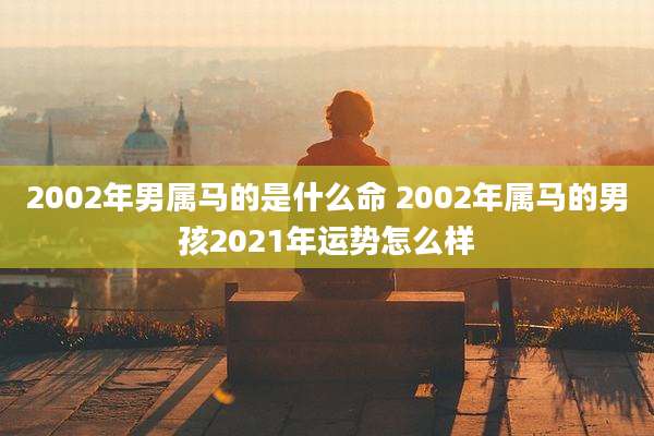 2002年男属马的是什么命 2002年属马的男孩2021年运势怎么样
