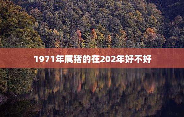 1971年属猪的在202年好不好