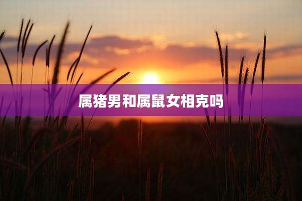 属猪男和属鼠女相克吗
