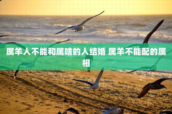 属羊人不能和属啥的人结婚 属羊不能配的属相