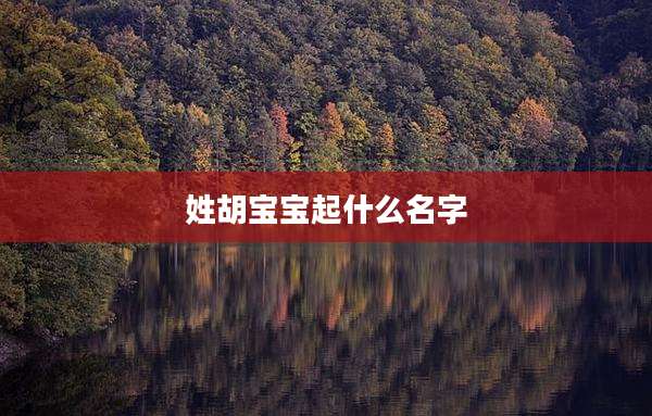 姓胡宝宝起什么名字