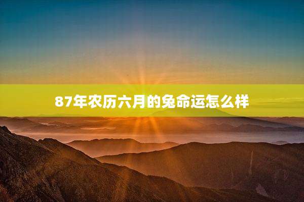 87年农历六月的兔命运怎么样