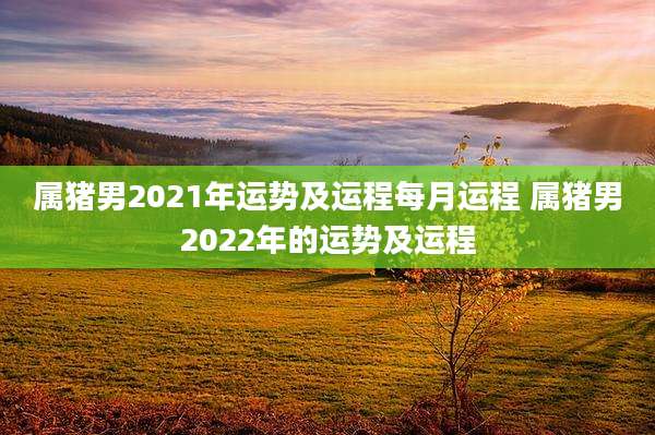 属猪男2021年运势及运程每月运程 属猪男2022年的运势及运程