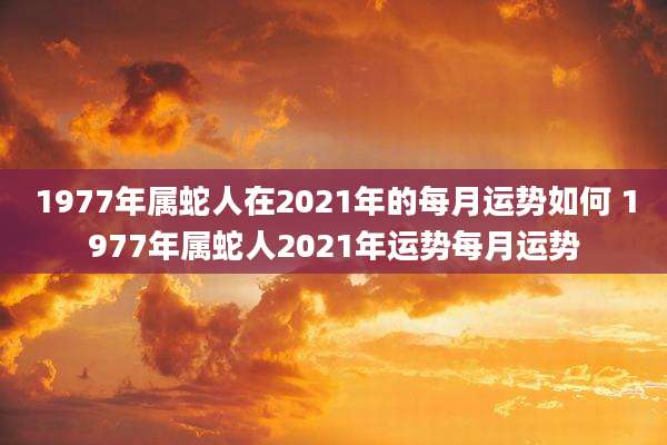1977年属蛇人在2021年的每月运势如何 1977年属蛇人2021年运势每月运势