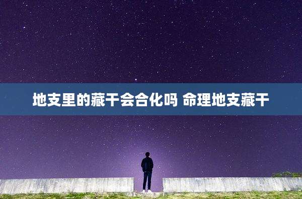 地支里的藏干会合化吗 命理地支藏干