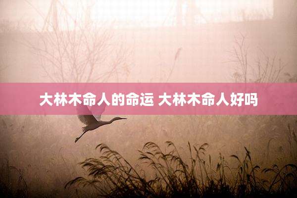 大林木命人的命运 大林木命人好吗
