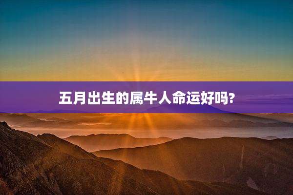 五月出生的属牛人命运好吗?