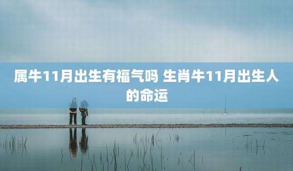 属牛11月出生有福气吗 生肖牛11月出生人的命运