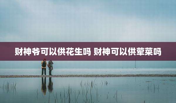 财神爷可以供花生吗 财神可以供荤菜吗