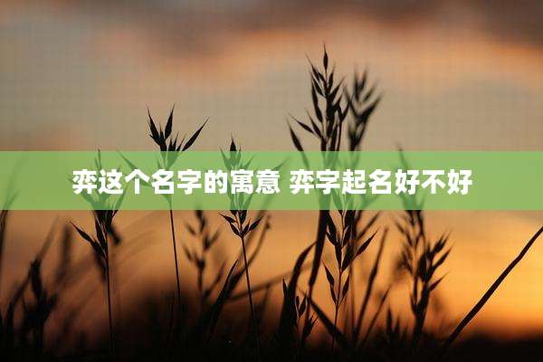 弈这个名字的寓意 弈字起名好不好