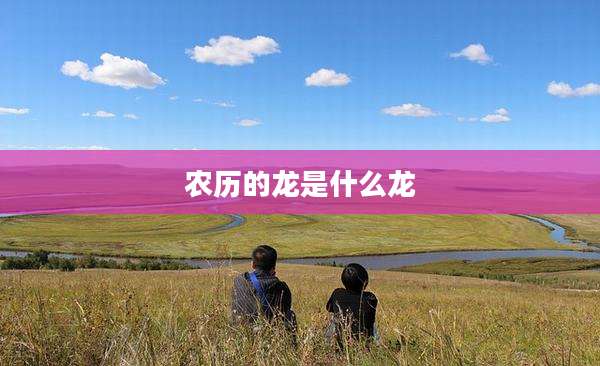 农历的龙是什么龙