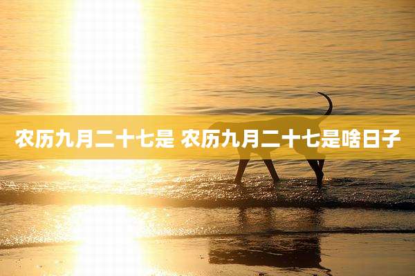 农历九月二十七是 农历九月二十七是啥日子