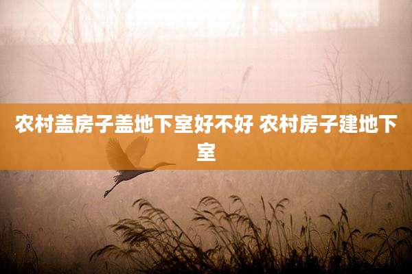 农村盖房子盖地下室好不好 农村房子建地下室