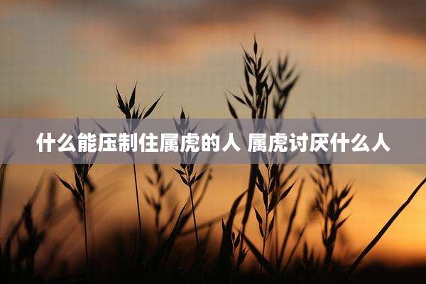 什么能压制住属虎的人 属虎讨厌什么人