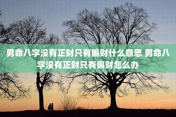 男命八字没有正财只有偏财什么意思 男命八字没有正财只有偏财怎么办