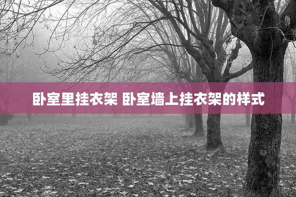 卧室里挂衣架 卧室墙上挂衣架的样式