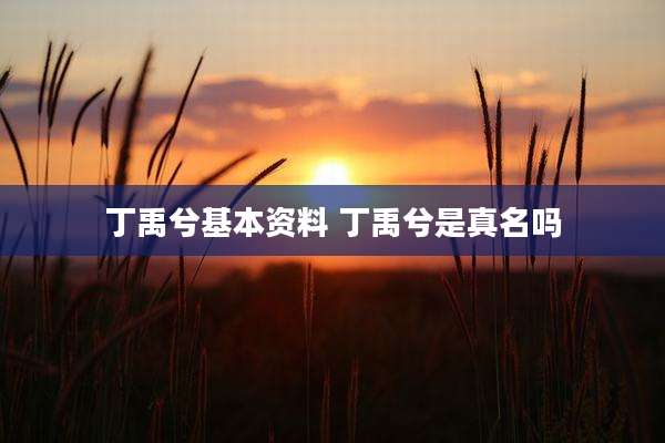 丁禹兮基本资料 丁禹兮是真名吗