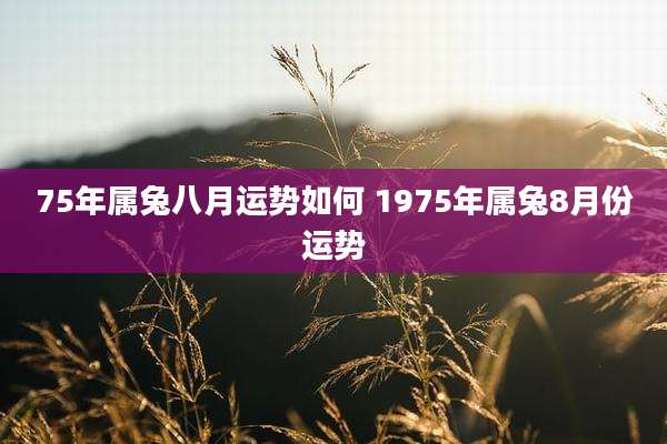 75年属兔八月运势如何 1975年属兔8月份运势