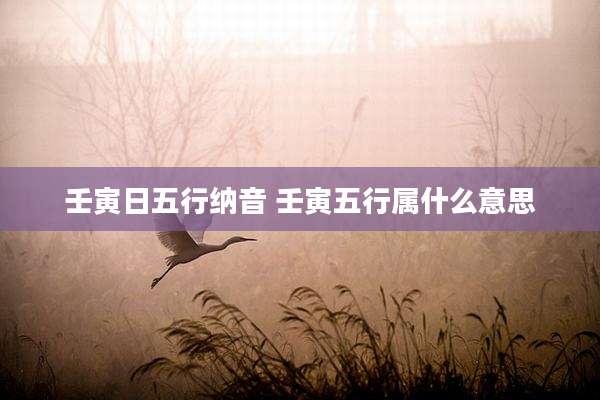 壬寅日五行纳音 壬寅五行属什么意思