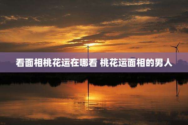 看面相桃花运在哪看 桃花运面相的男人