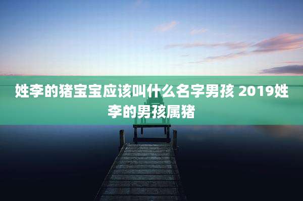姓李的猪宝宝应该叫什么名字男孩 2019姓李的男孩属猪