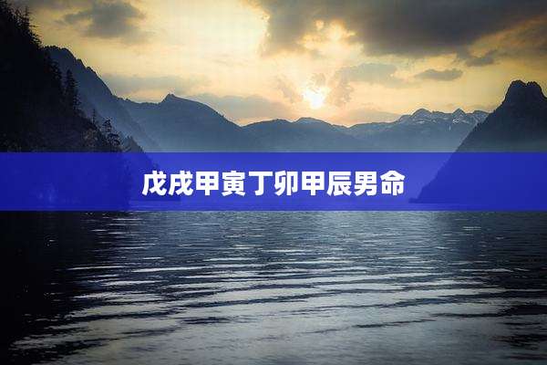 戊戌甲寅丁卯甲辰男命