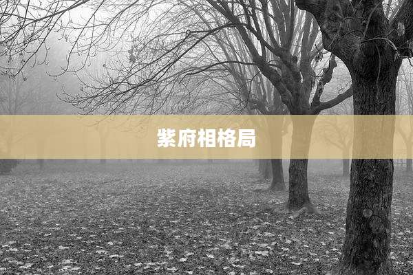 紫府相格局