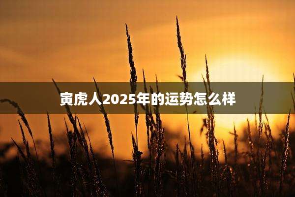 寅虎人2025年的运势怎么样