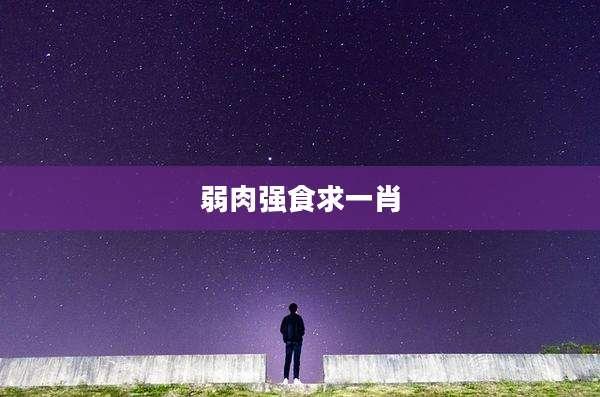 弱肉强食求一肖