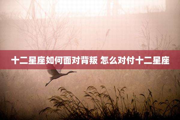 十二星座如何面对背叛 怎么对付十二星座