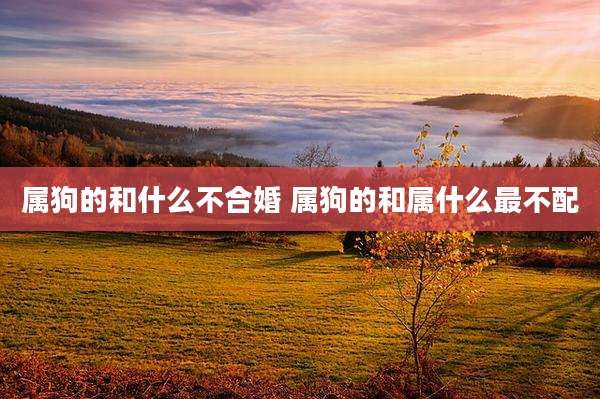属狗的和什么不合婚 属狗的和属什么最不配