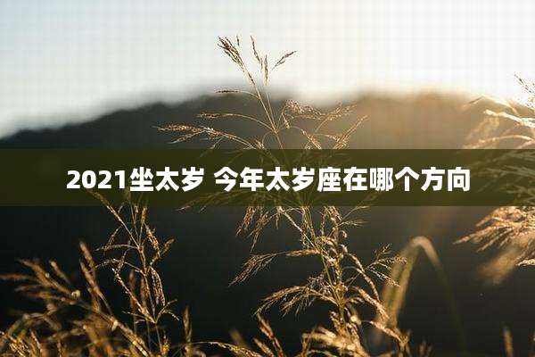 2021坐太岁 今年太岁座在哪个方向