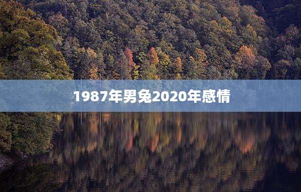 1987年男兔2020年感情