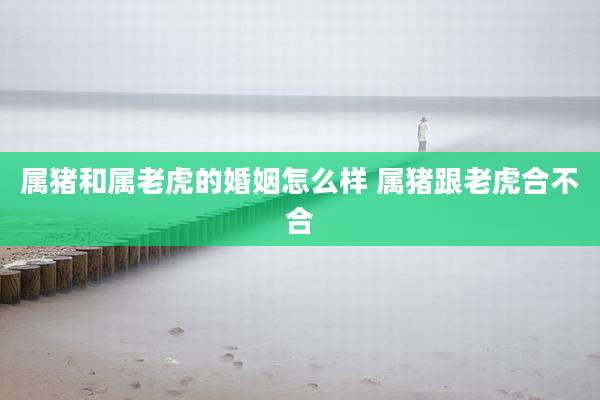 属猪和属老虎的婚姻怎么样 属猪跟老虎合不合