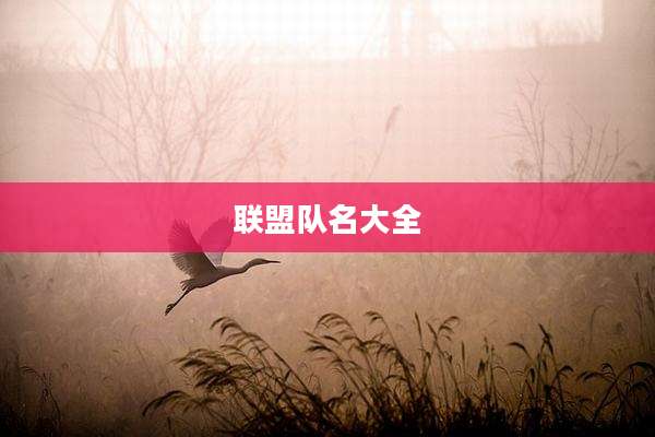 联盟队名大全