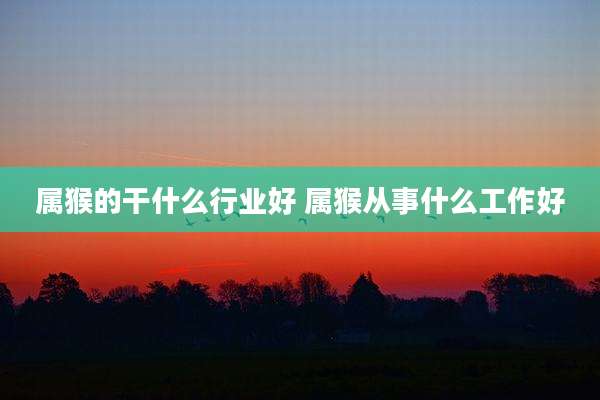 属猴的干什么行业好 属猴从事什么工作好