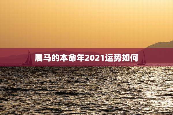 属马的本命年2021运势如何