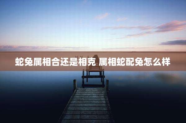 蛇兔属相合还是相克 属相蛇配兔怎么样