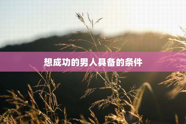 想成功的男人具备的条件