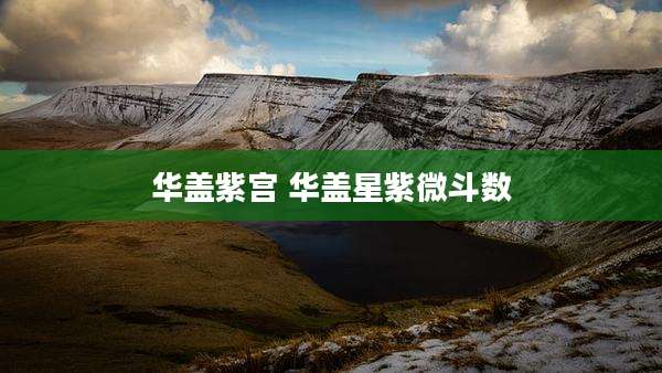 华盖紫宫 华盖星紫微斗数
