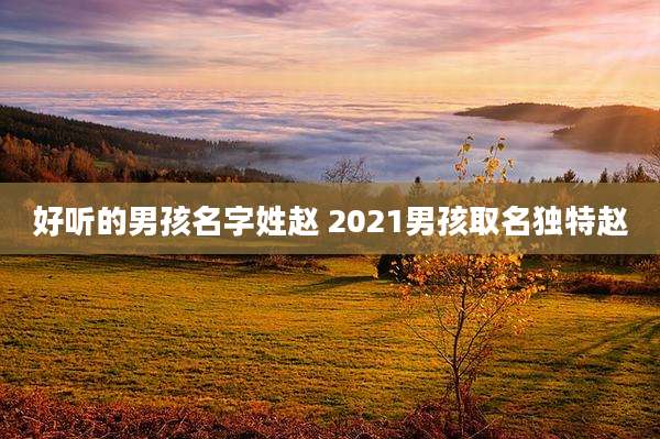 好听的男孩名字姓赵 2021男孩取名独特赵