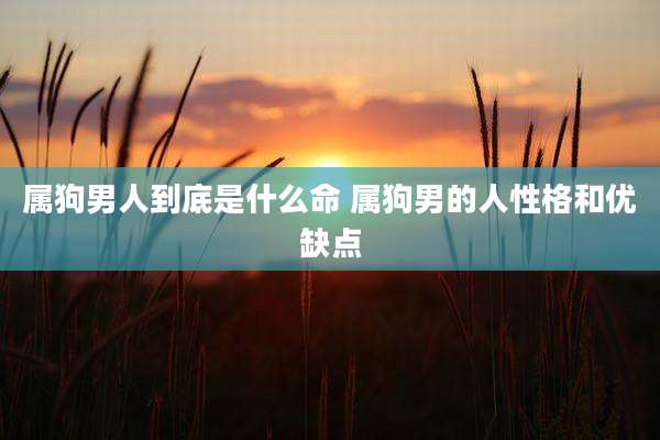 属狗男人到底是什么命 属狗男的人性格和优缺点