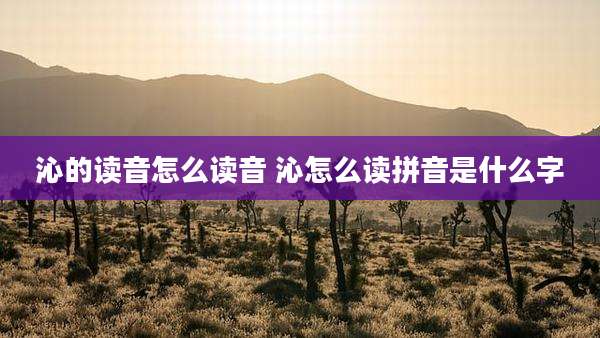 沁的读音怎么读音 沁怎么读拼音是什么字