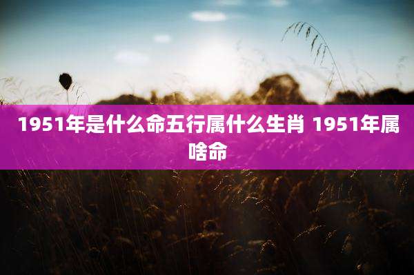 1951年是什么命五行属什么生肖 1951年属啥命