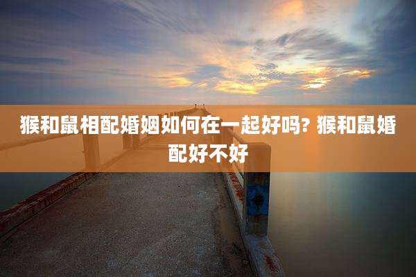 猴和鼠相配婚姻如何在一起好吗? 猴和鼠婚配好不好