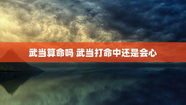 武当算命吗 武当打命中还是会心