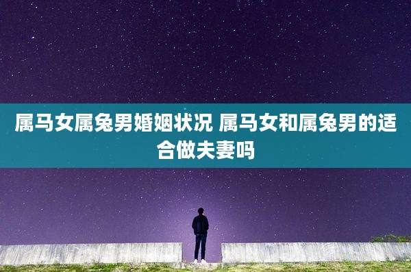 属马女属兔男婚姻状况 属马女和属兔男的适合做夫妻吗