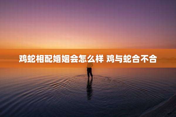 鸡蛇相配婚姻会怎么样 鸡与蛇合不合
